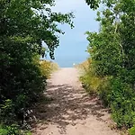Ostseeeule غرال موريتز