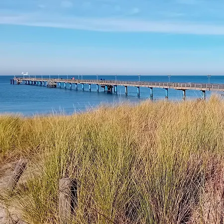 Ostseeeule